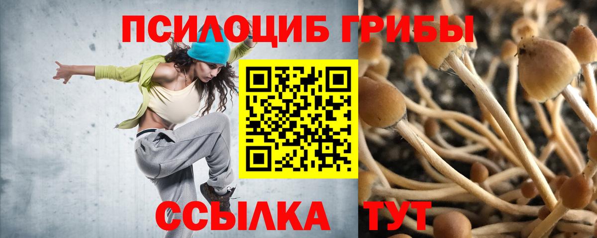Псилоцибиновые грибы Psilocybine cubensis Когалым