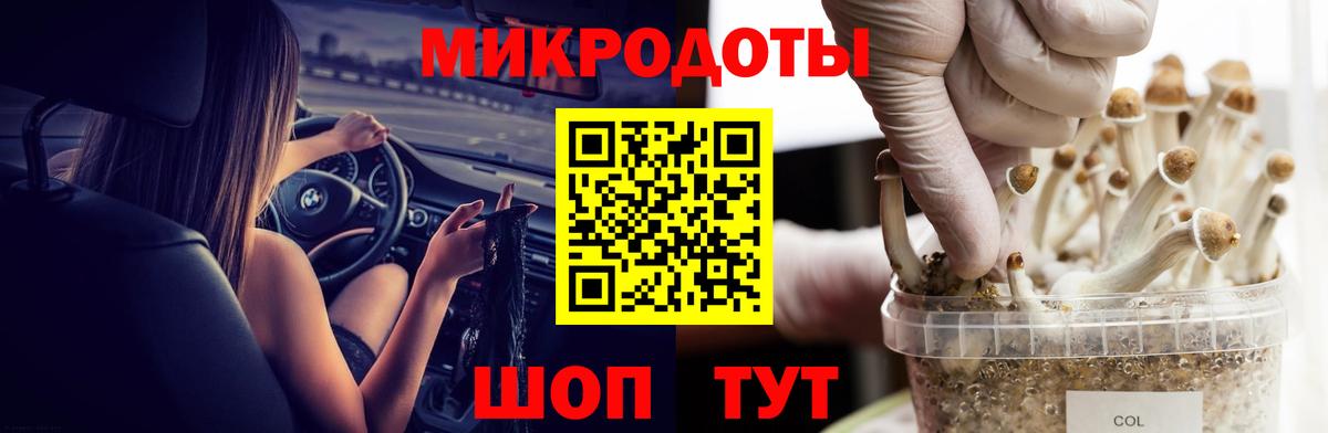 Когалым  Галлюциногенные грибы Psilocybine cubensis  где найти   Вход с VPN 